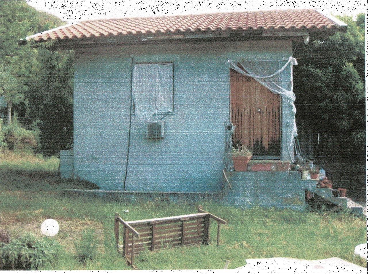 Vendita vendita, Spotorno foto