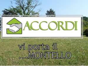 Vendita Altri immobili, Montebelluna