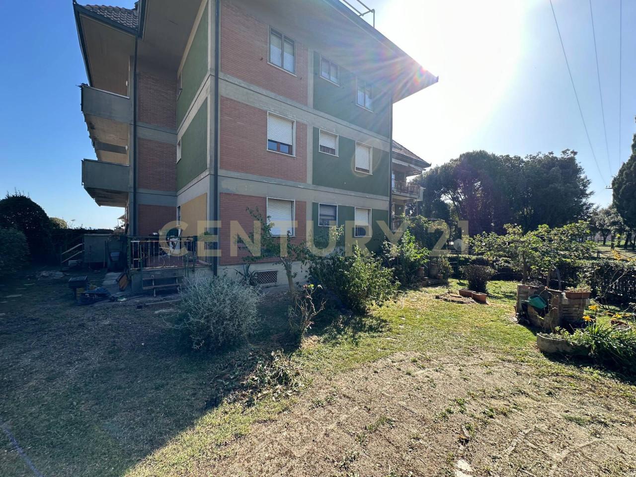 Vendita Pentavani, Scansano foto
