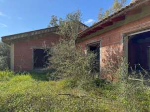 Vendita Pentavani, Uta Vendita Pentavani, Uta