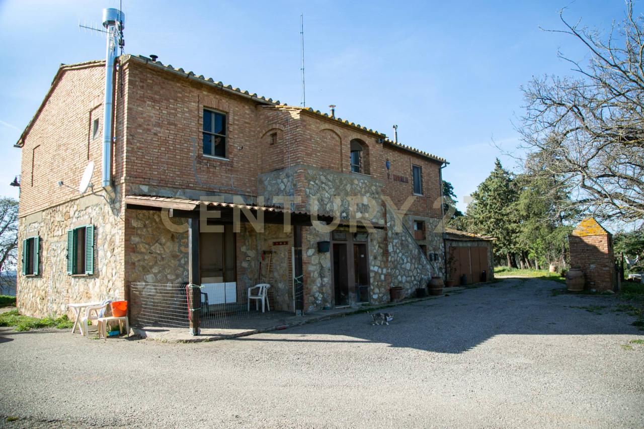 Vendita Multivani, Civitella Paganico foto
