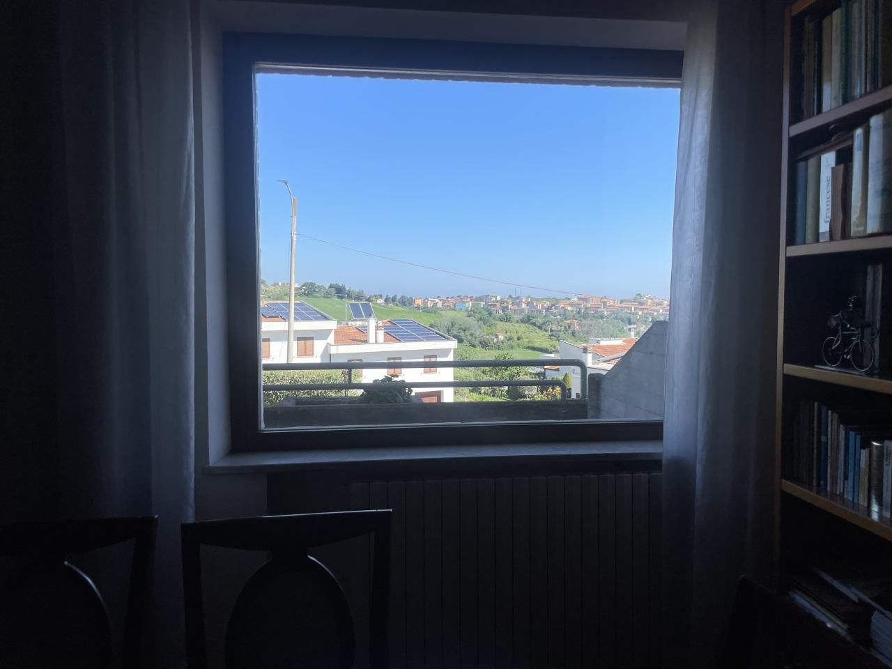 Vendita Multivani, Ancona foto