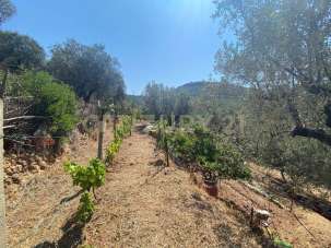 Vendita Monovano, Monte Argentario Vendita Monovano, Monte Argentario