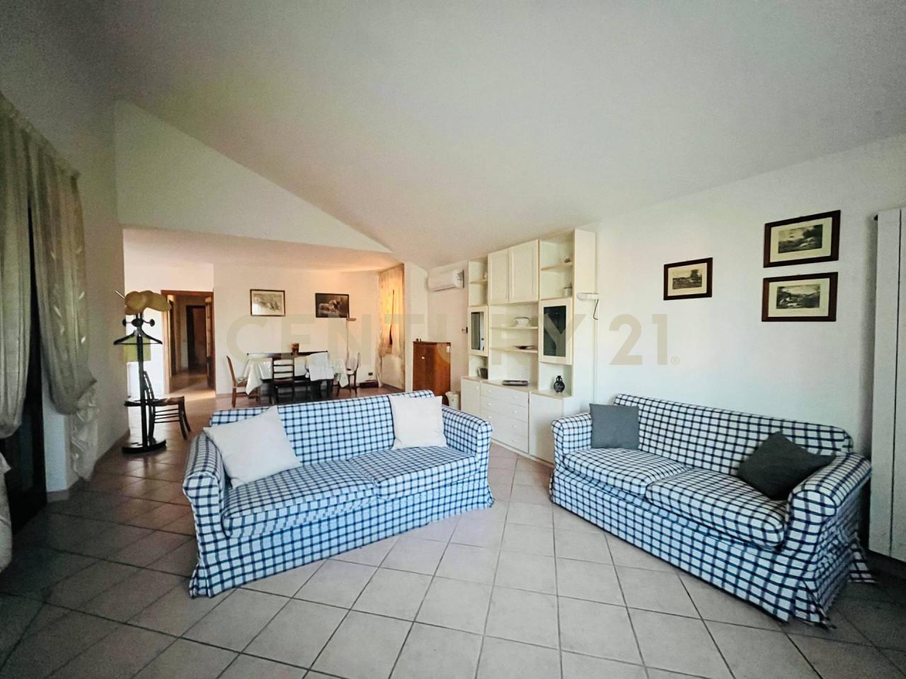 Vendita Multivani, Grosseto foto