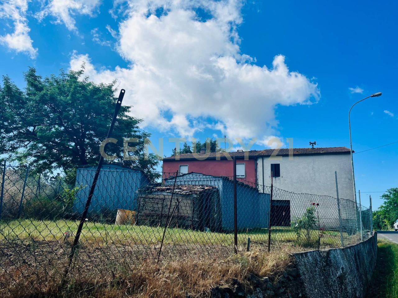 Vendita Esavani, Scansano Vendita Esavani, Scansano foto