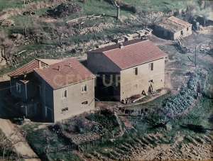 Vendita Eptavani, Cinigiano Vendita Eptavani, Cinigiano