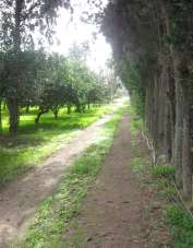 Vendita Terreni, Monastir