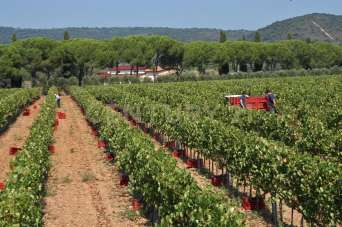 Vendita Case, Grosseto Vendita Case, Grosseto