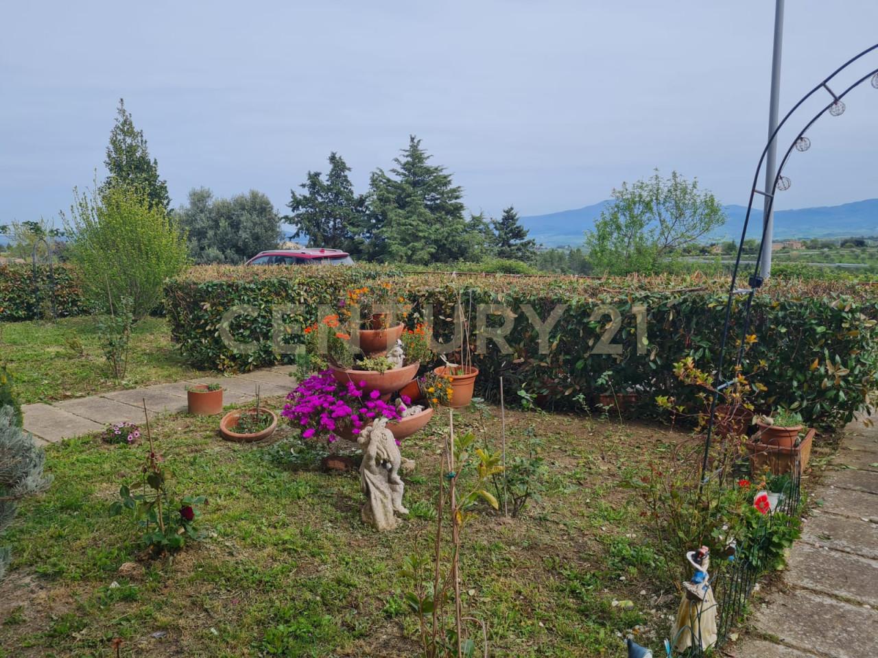 Vendita Esavani, Civitella Paganico foto
