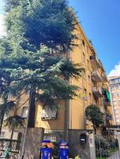 Vendita Trivani, Parma Vendita Trivani, Parma