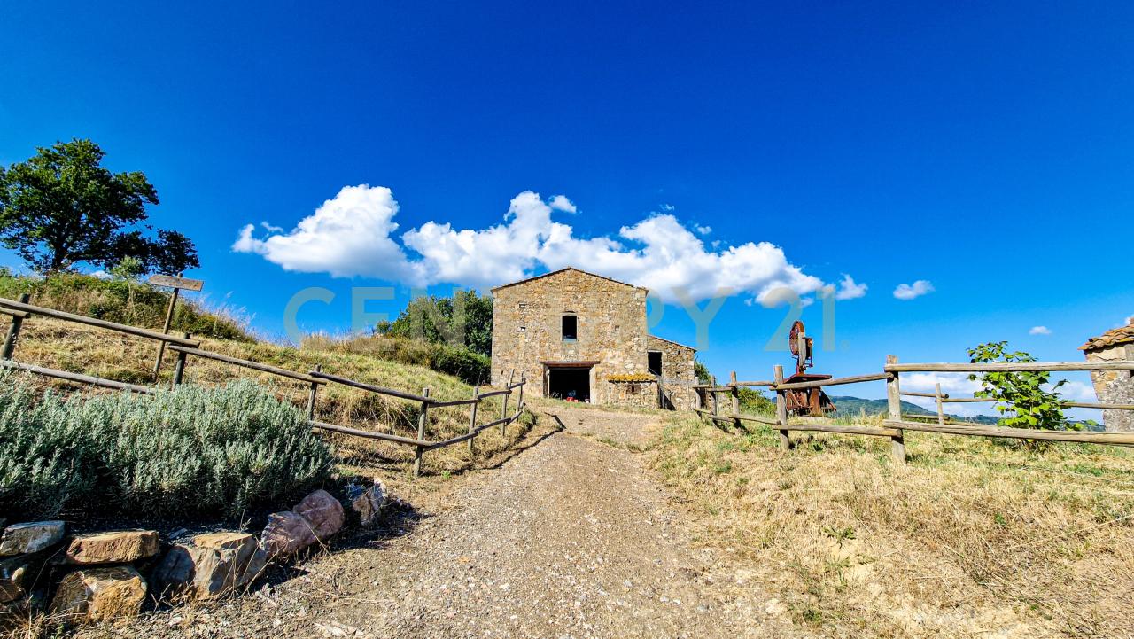 Vendita Bivani, Roccastrada foto