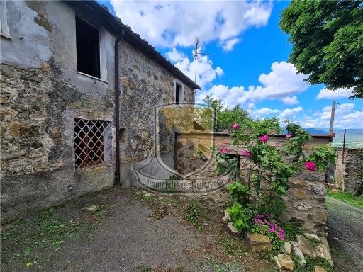 Vendita TERRATETTO, Murlo Vendita TERRATETTO, Murlo foto