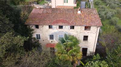Vendita Multivani, Camaiore Vendita Multivani, Camaiore