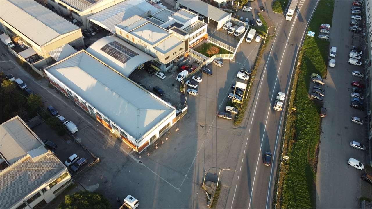 Affitto affitto, Saronno foto