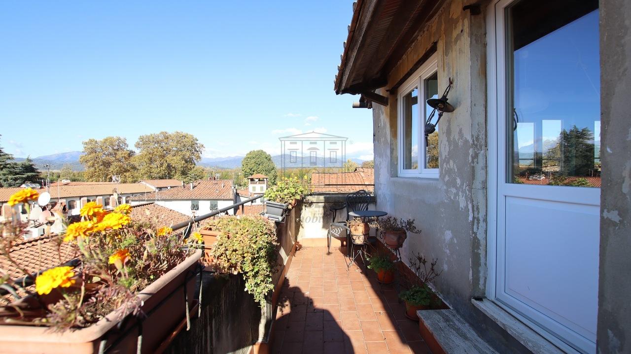 Vendita Esavani, Lucca foto