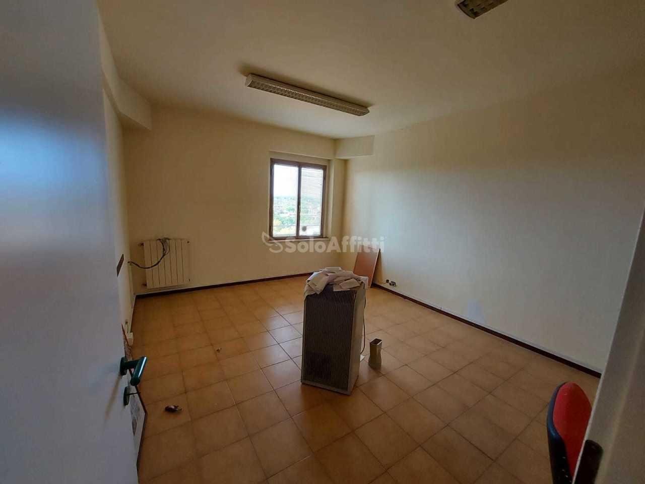 Affitto Monovano, Foiano della Chiana foto