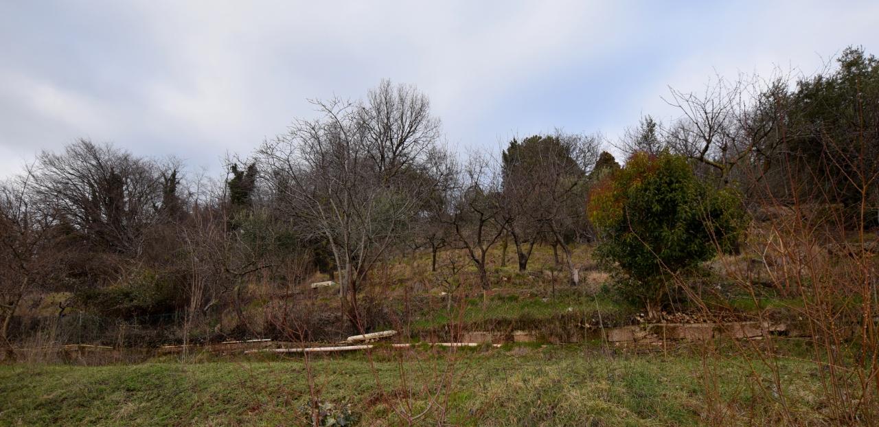 Vendita Altri immobili, Montebelluna foto