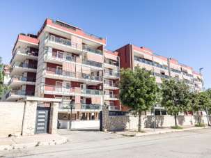 Vendita Trivani, Bisceglie Vendita Trivani, Bisceglie