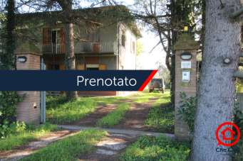 Vendita Multivani, Cesena Vendita Multivani, Cesena