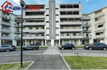 Vendita vendita, Arezzo Vendita vendita, Arezzo