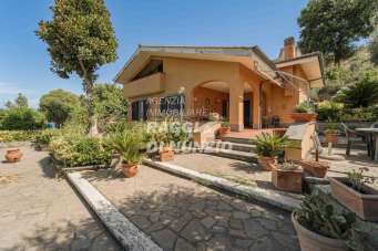 Vendita Multivani, Frascati Vendita Multivani, Frascati