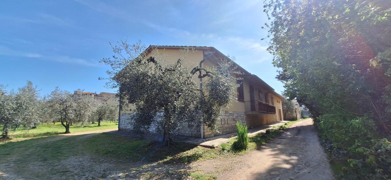 Vendita Case, Rapolano Terme foto