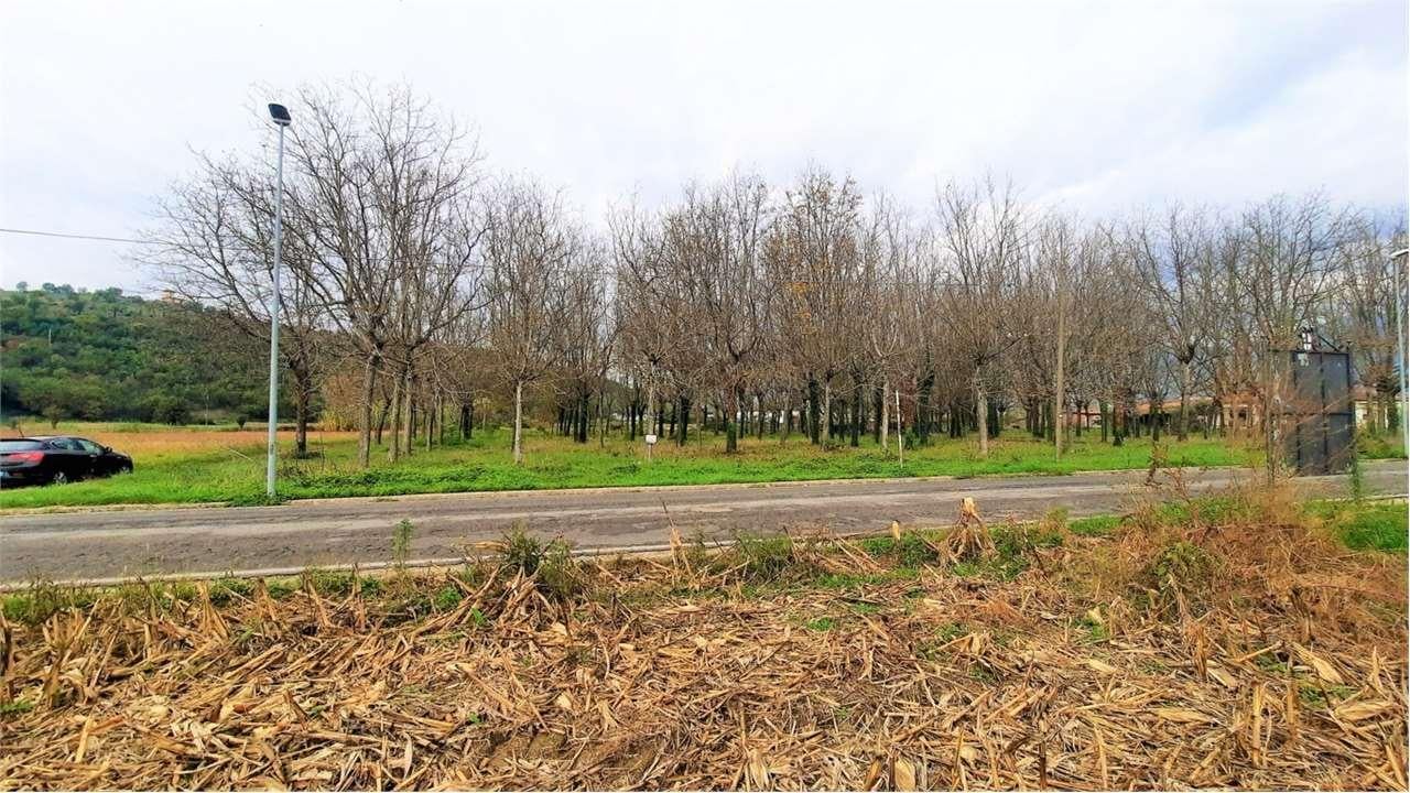 Vendita vendita, Castelliri foto