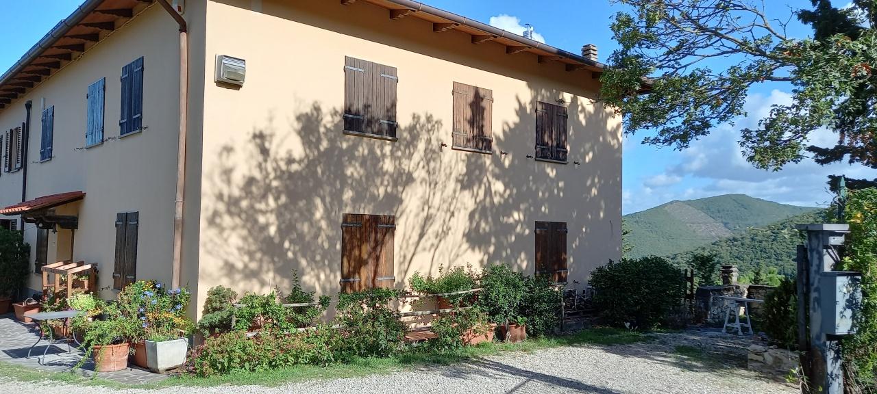 Vendita Multivani, Calenzano foto
