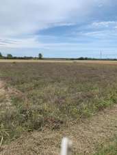 Vendita Terreno Agricolo, Ravenna Vendita Terreno Agricolo, Ravenna
