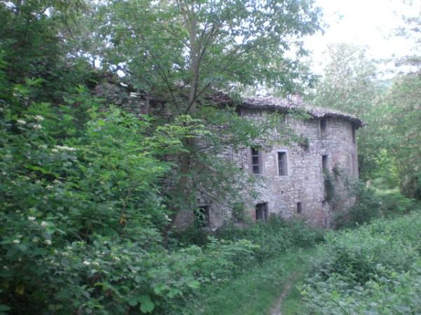 Vendita Multivani, Pellegrino Parmense foto