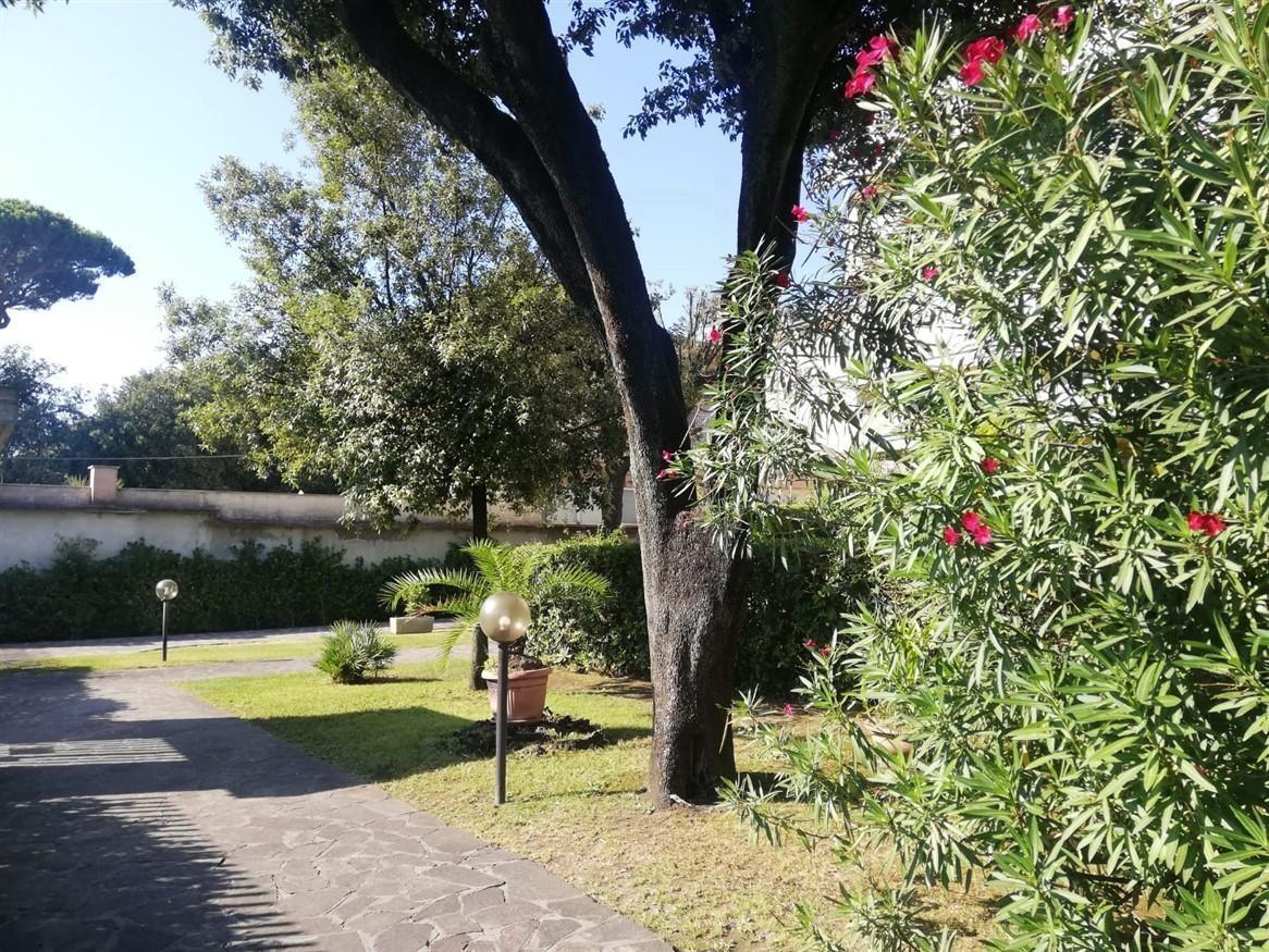 Vendita Appartamento, Massa foto