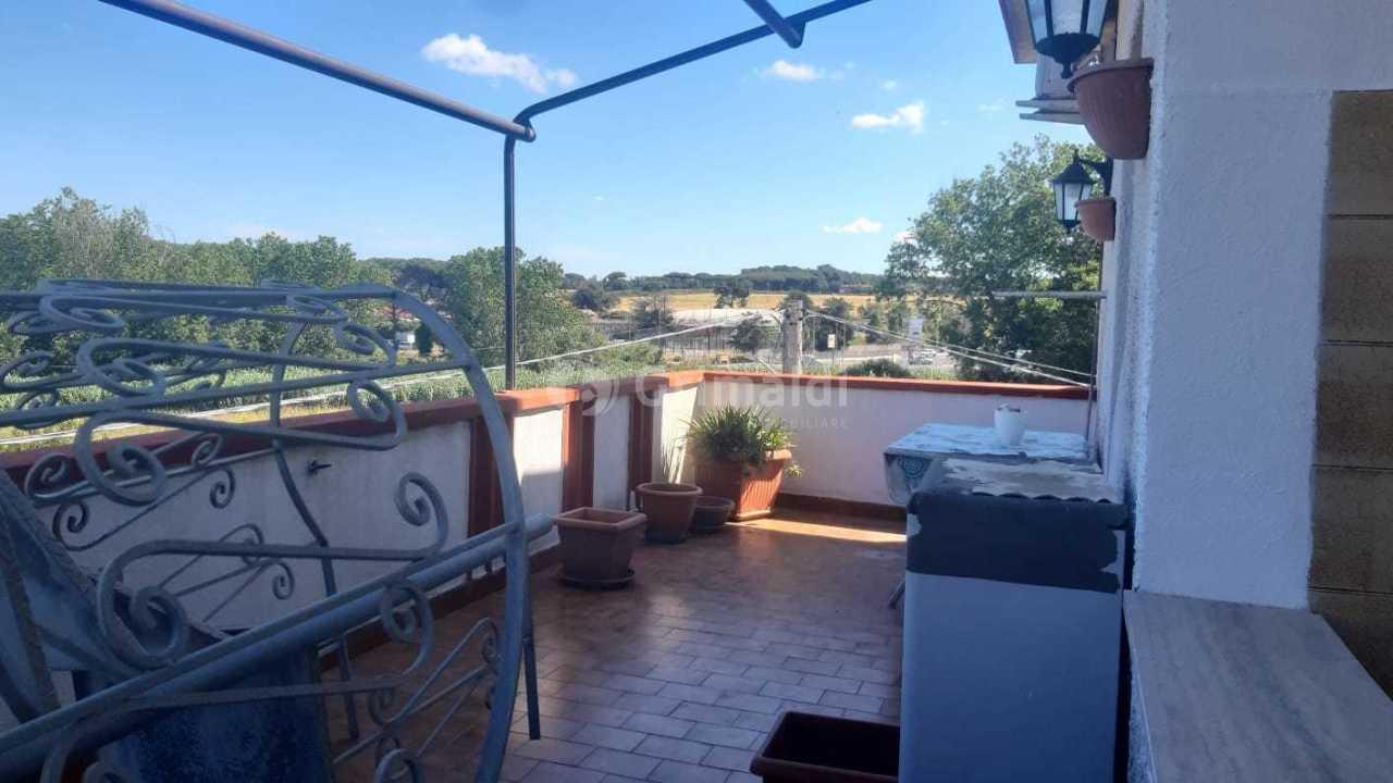 Affitto Bivani, Anzio foto