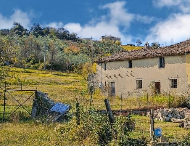 Vendita Quadrivani, Staffolo foto