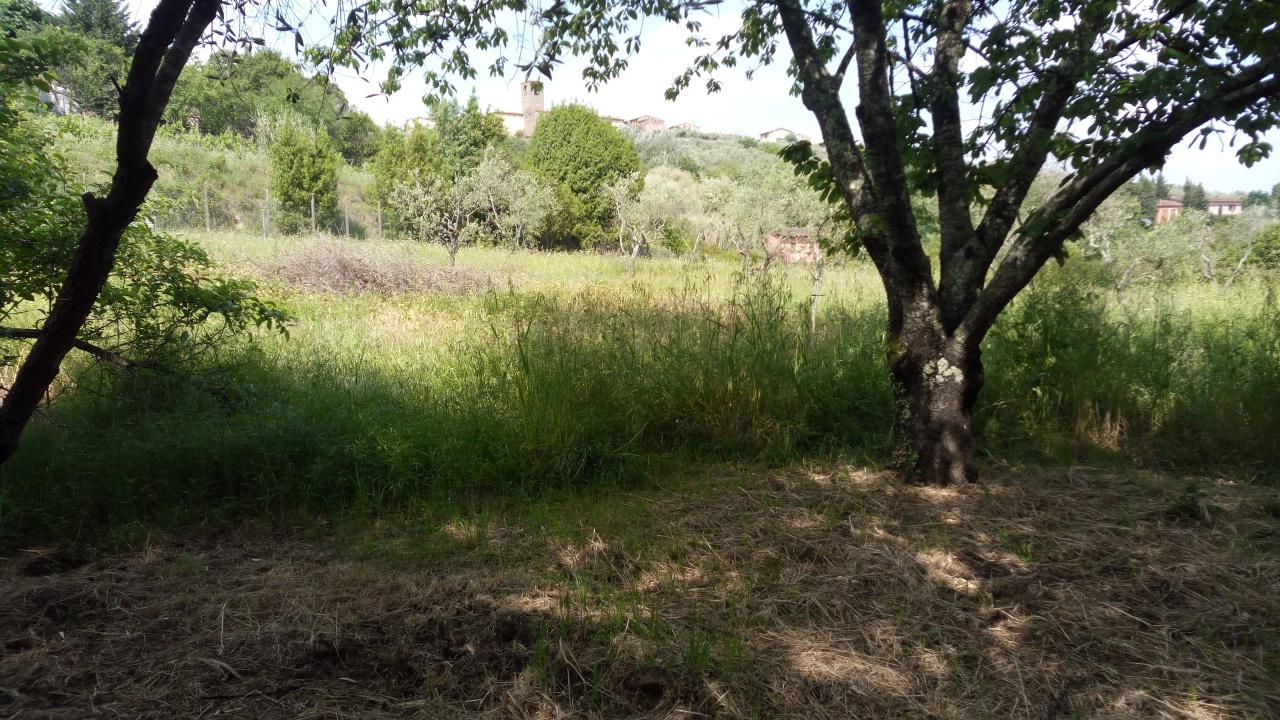 Vendita Monovano, Buggiano foto