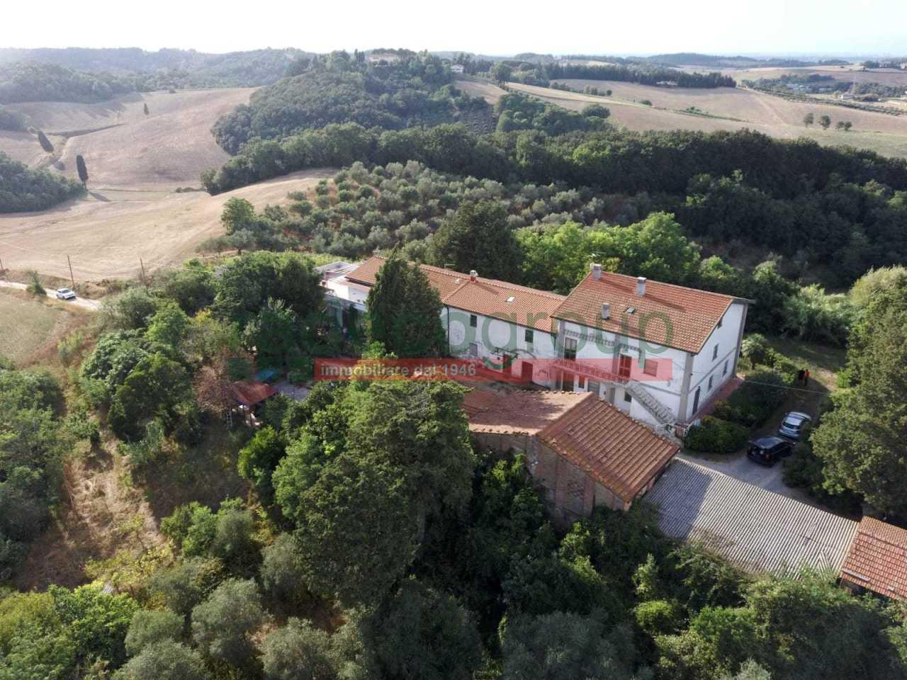 Vendita Multivani, Collesalvetti foto