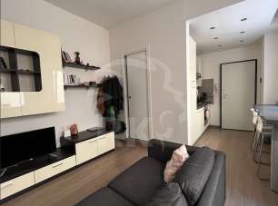 Affitto Bivani, Bologna Affitto Bivani, Bologna