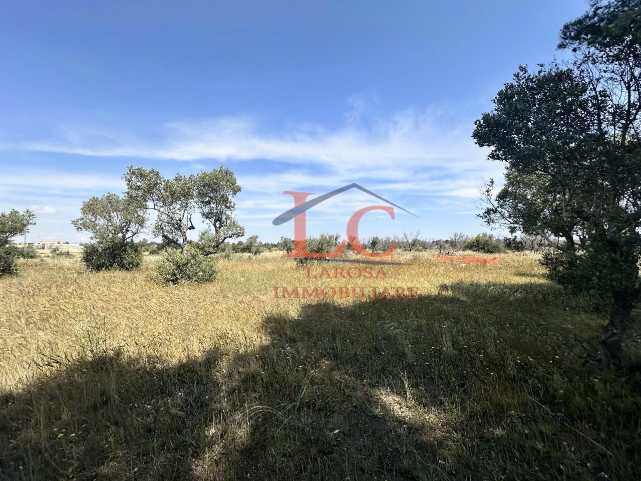 Vendita Quadrivani, Lizzanello Vendita Quadrivani, Lizzanello foto