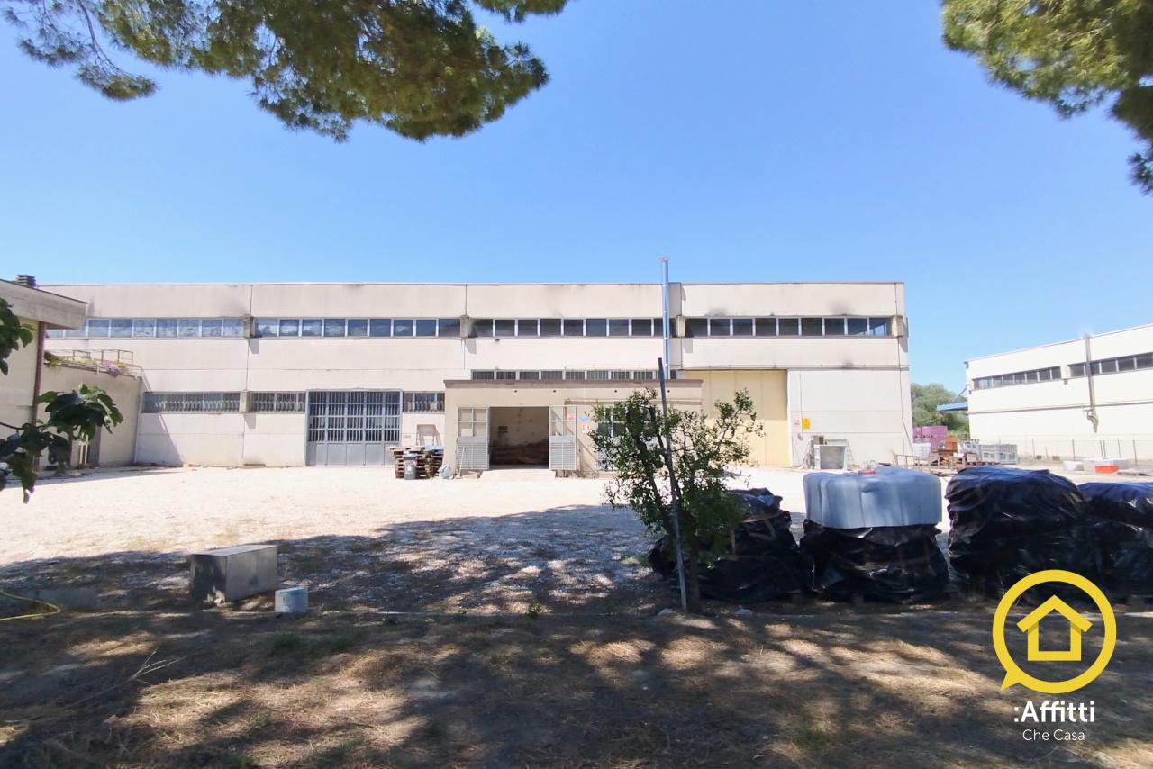 Affitto Industriale, Cesena foto