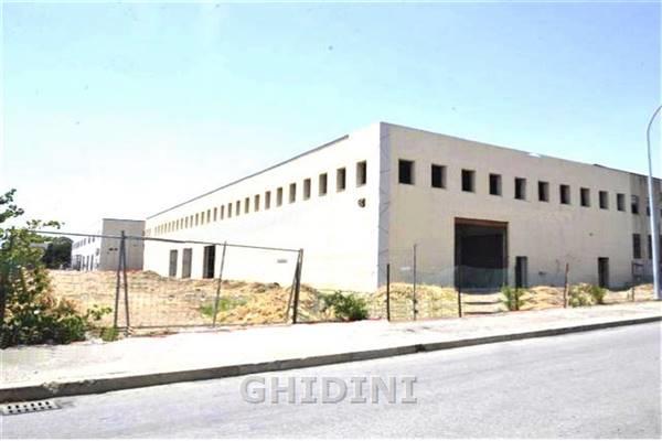 Vendita Quadrivani, Grosseto foto