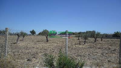 Vendita Terreno Agricolo, Chiaramonte Gulfi Vendita Terreno Agricolo, Chiaramonte Gulfi