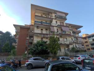 Affitto Bivani, Roma Affitto Bivani, Roma