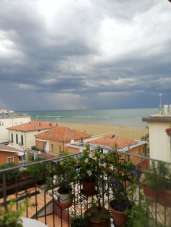 Vendita Esavani, Rimini