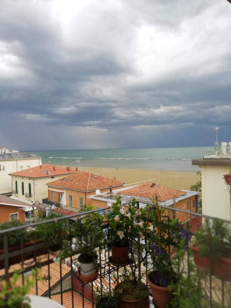 Vendita Esavani, Rimini foto