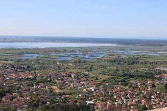 Vendita Multivani, Massarosa Vendita Multivani, Massarosa