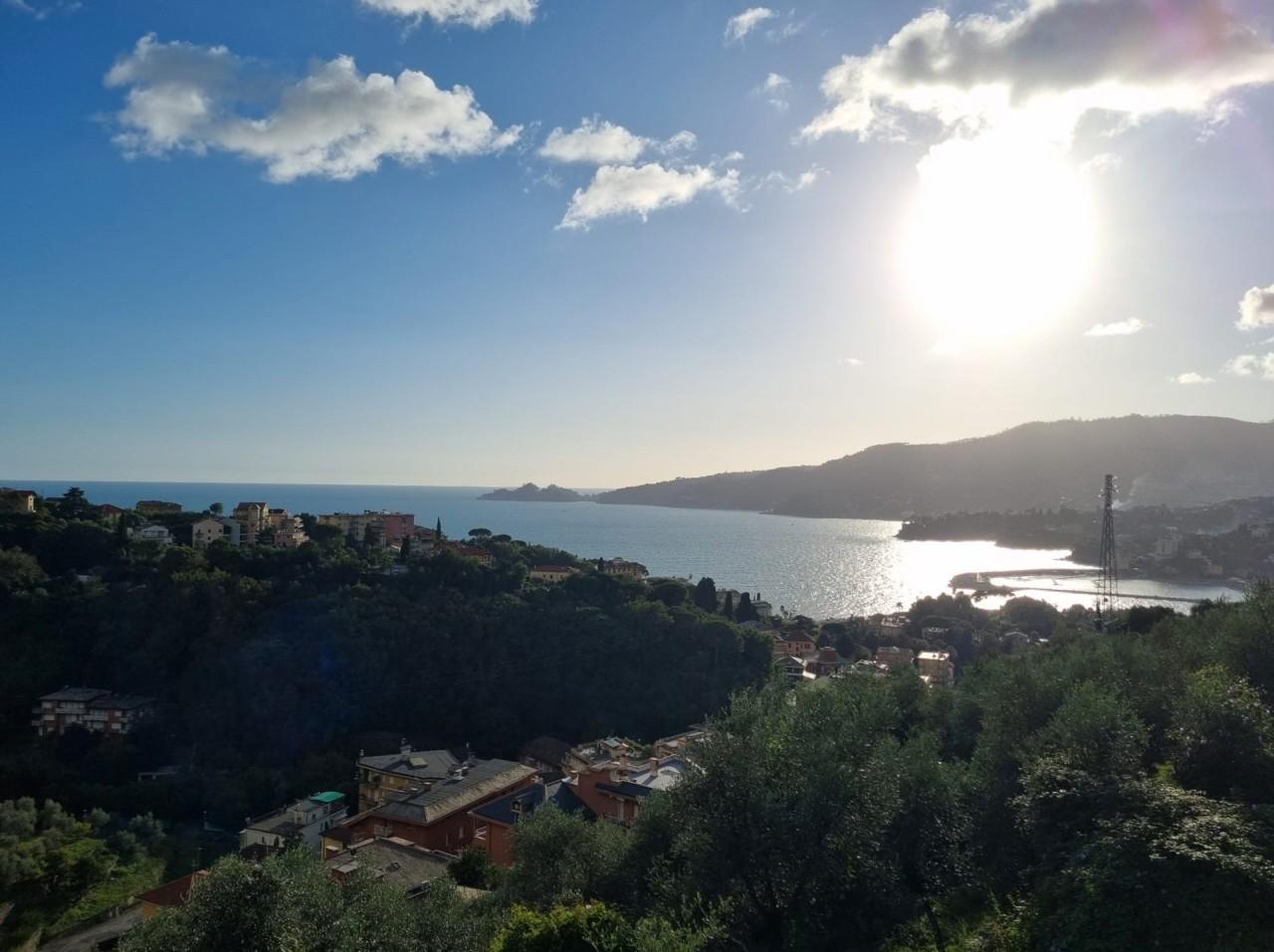 Vendita Multivani, Zoagli foto