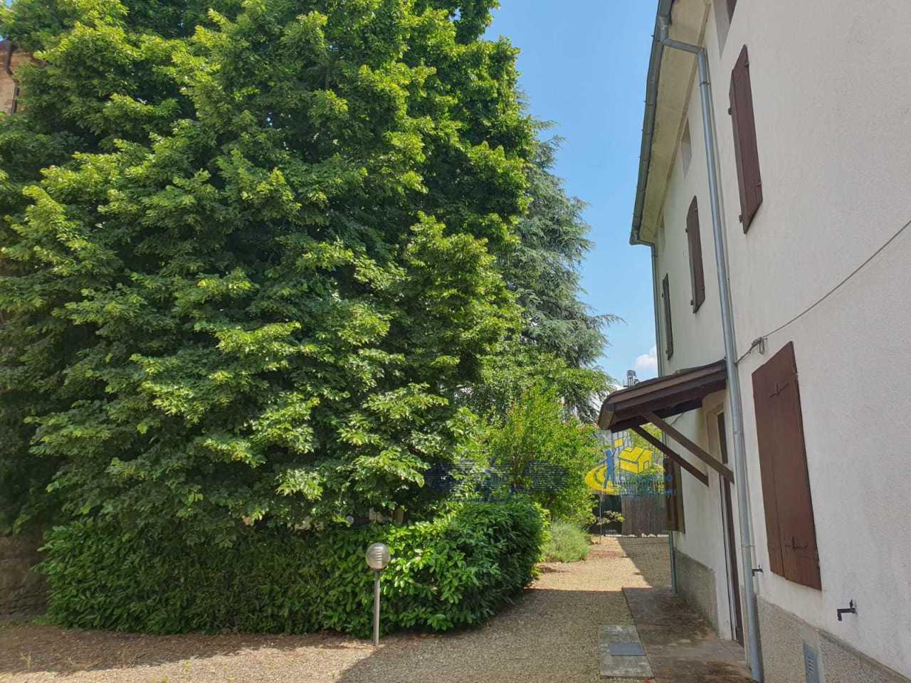 Vendita Pentavani, Langhirano foto