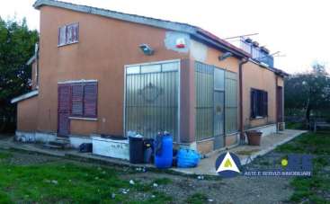 Vendita Trivani, Vignanello Vendita Trivani, Vignanello