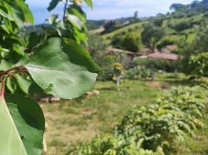 Vendita Monovano, Fonte Nuova Vendita Monovano, Fonte Nuova