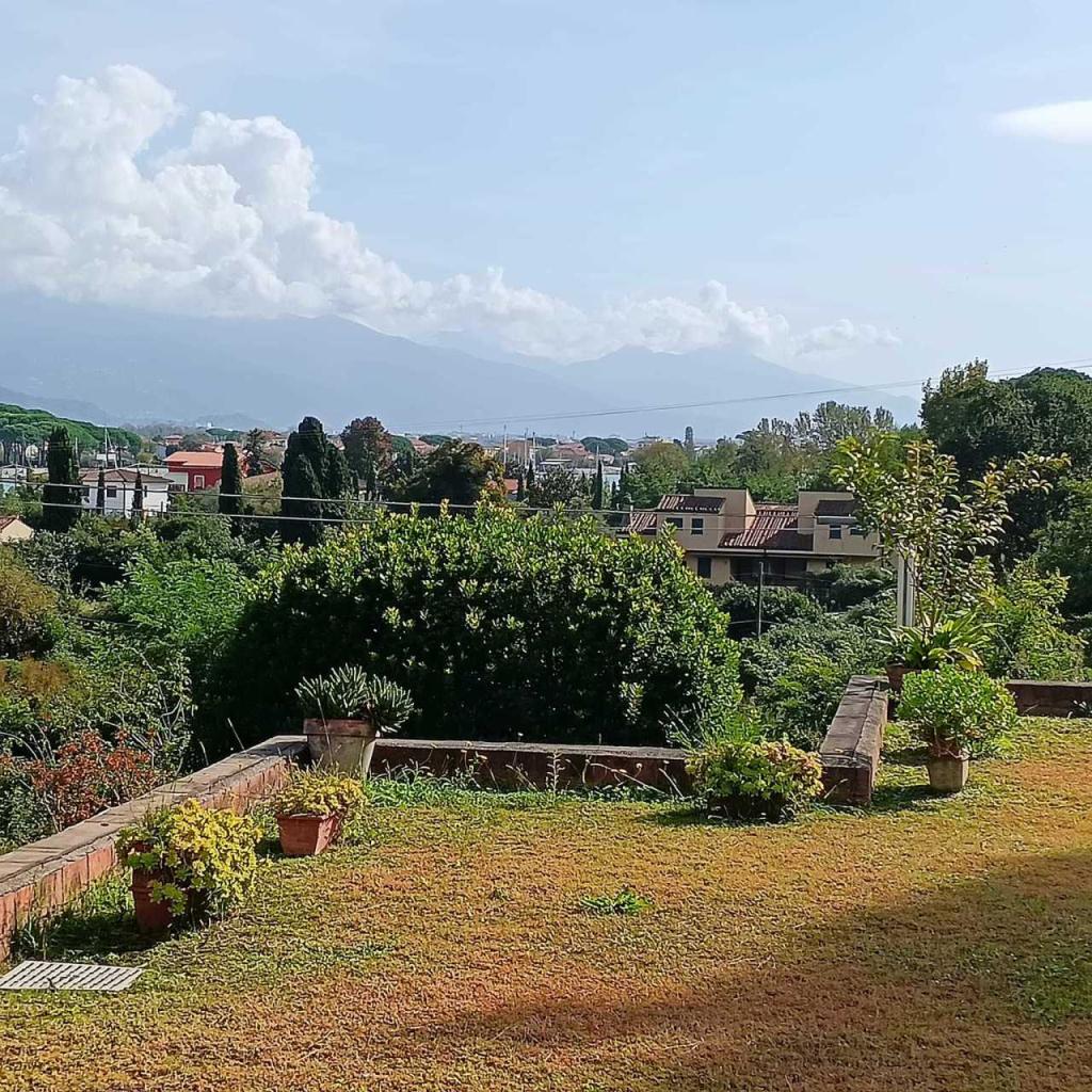 Vendita Bivani, Ameglia foto