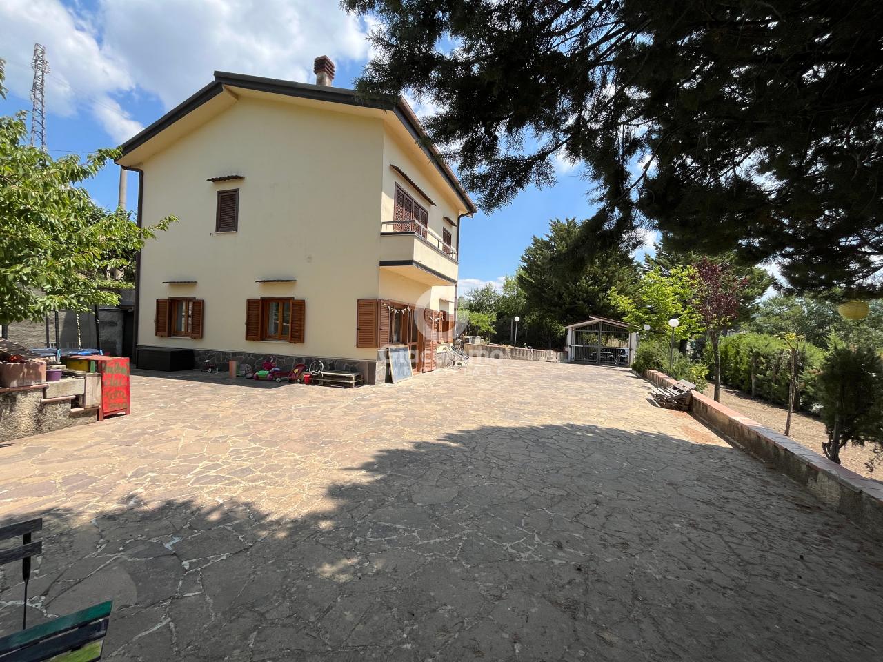 Vendita Eptavani, Pignola foto